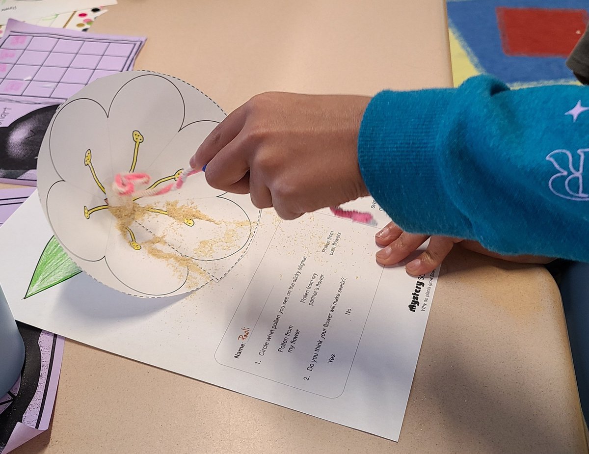 Ask me about how flowers make seeds with the help of bees!