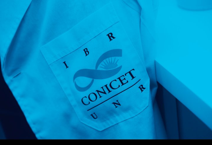 IBR_CONICET's tweet photo. Hoy nos sumamos a la iniciativa de ANB @anbecaries porque en IBR hacemos   #cienciaargentina #investigarestrabajar https://t.co/fxCZPOBF0Y