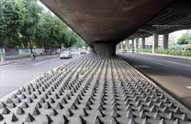 JessieWeasley75's tweet image. #Hostilearchitecture is all over American cities and states. It is abusive towards homeless people, disabled people, and skateboarders. It’s disgusting and it shows how much the government doesn’t care about people at all. Hostile architecture has no place in our community. These…