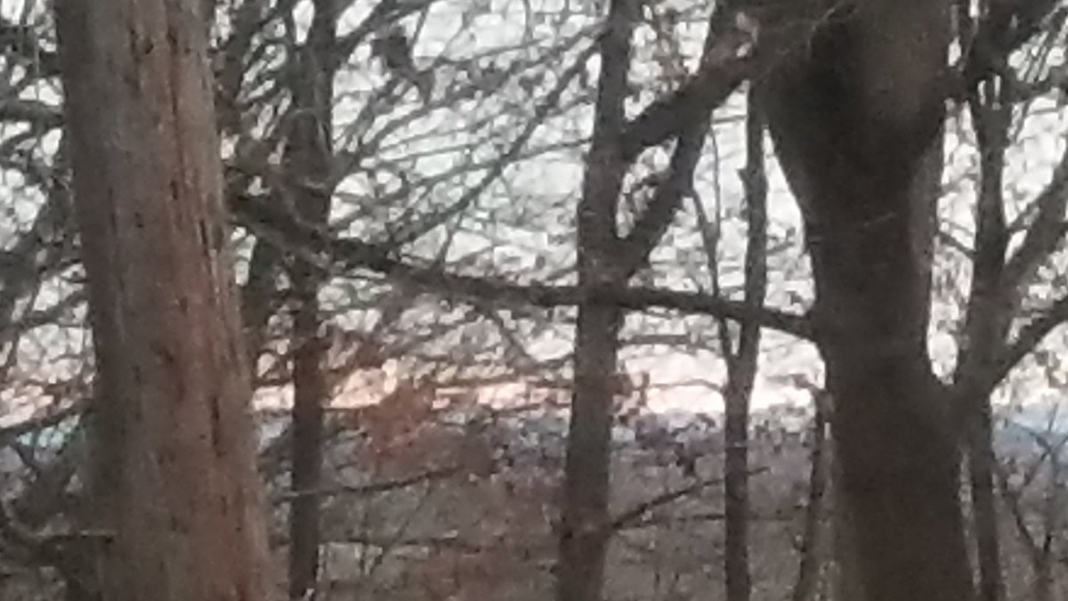 DemiPotvin's tweet image. The picture on the left is the Eastern horizon. The pic on the right is on the Western horizon. The Sun has just set, so why does it look like there is a Sun rising in the East? #POLESHIFT #TWOSUNS #THREESUNS #NIBIRU