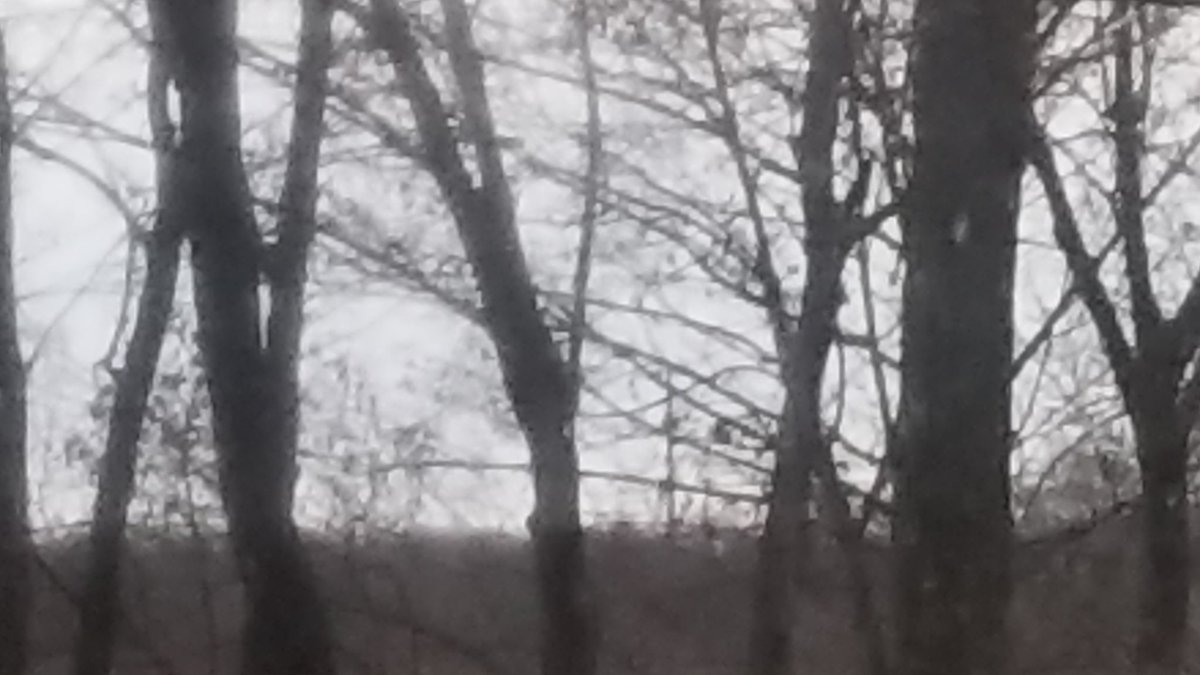 DemiPotvin's tweet image. The picture on the left is the Eastern horizon. The pic on the right is on the Western horizon. The Sun has just set, so why does it look like there is a Sun rising in the East? #POLESHIFT #TWOSUNS #THREESUNS #NIBIRU