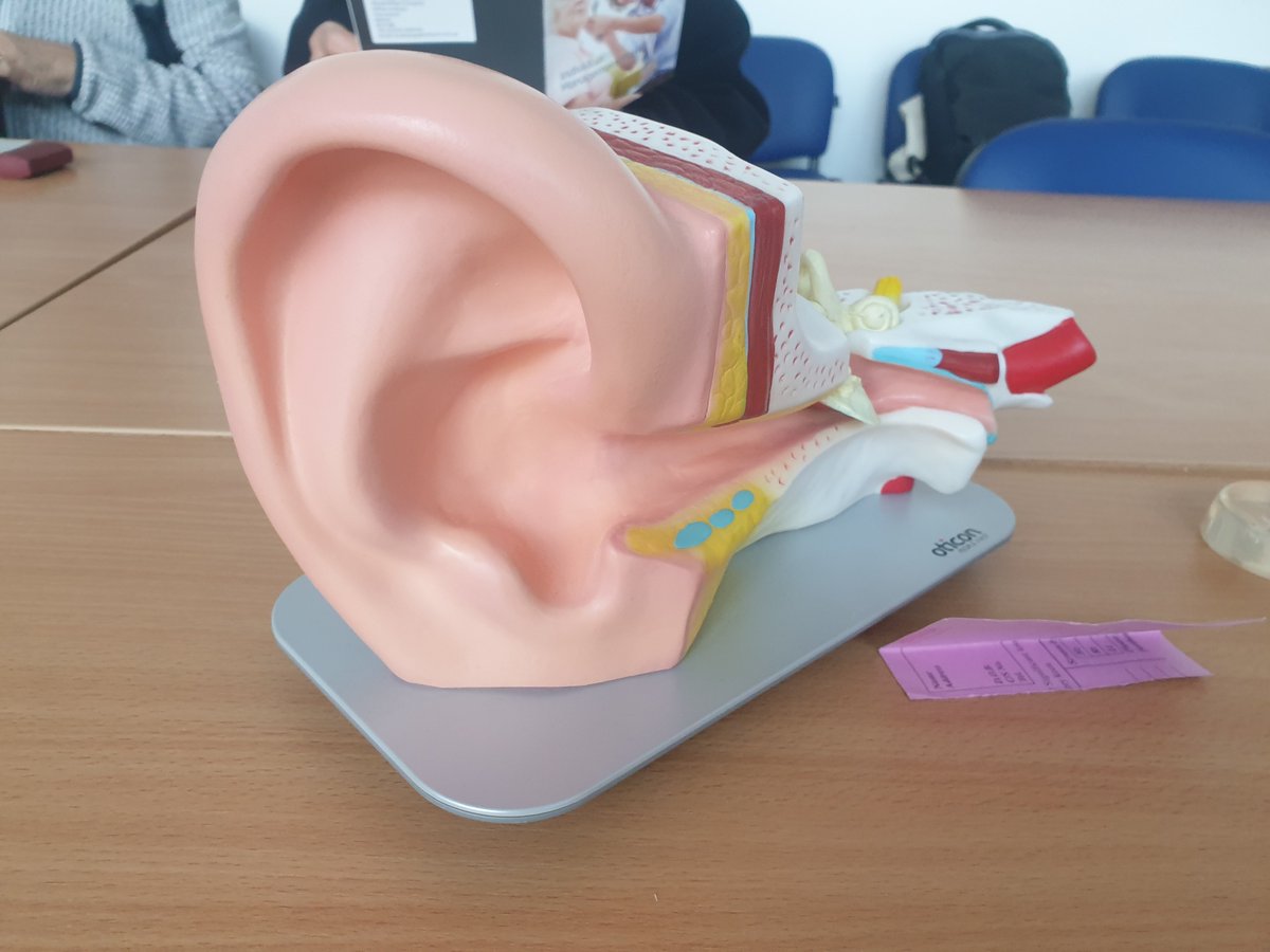 Fascinating listening to our audiologist today. Did you know..  aids can support cognitive function via reduced isolation, staff and patients can self refer &amp;  hearing aid storage boxes for wards are readily available 👏❤ #DHM <a href="/boltonnhsft/">Bolton NHS Foundation Trust</a> <a href="/toriaeking/">Toria King</a> @JMawrey <a href="/revcathfrog/">🌈🙏 Reverend Canon Catherine D Binns</a>
