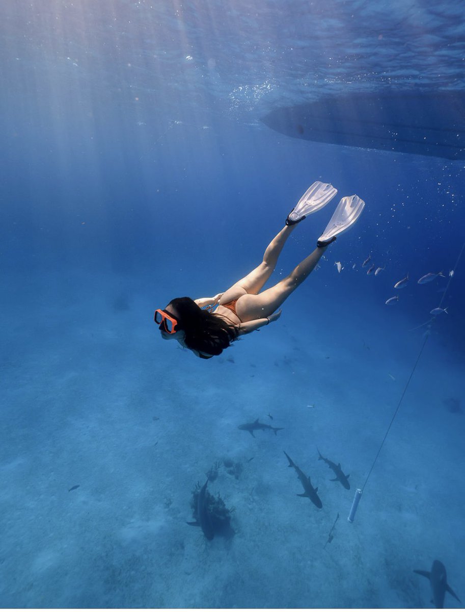 tarayummy's tweet photo. shark diving in some blue gatorade https://t.co/y97IkpojAF