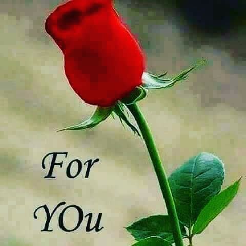 hamid Casa (@hamidca95293668) on Twitter photo 