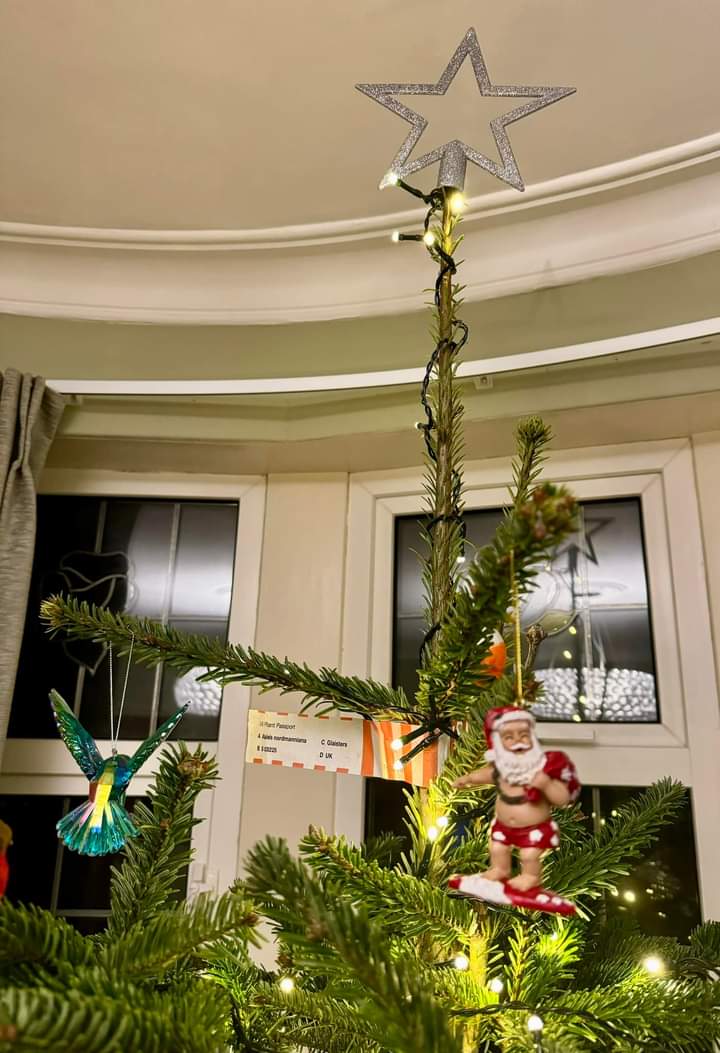 Lowri Bowen tweet media