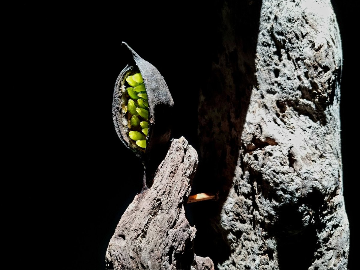 Hardiman's Galway tweet media