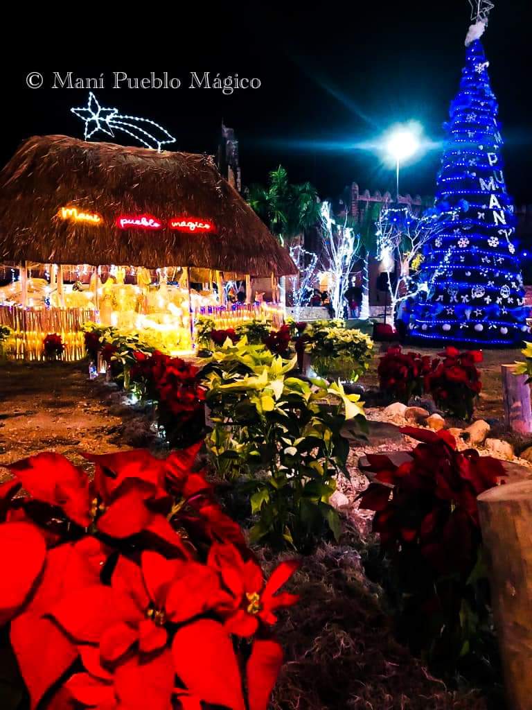 koobenmani's tweet photo. Así se vive la navidad en mi pueblito mágico 🤩🪅💙🤍🎄
.
.
Claro si vienen a Maní, no se olviden de la mejor gastronomía en nuestra cocina Tradicional K'ÓOBEN 
.
#maniyucatan #pueblosmagicosmx #yucatanmexico https://t.co/4fAqKWxJyB