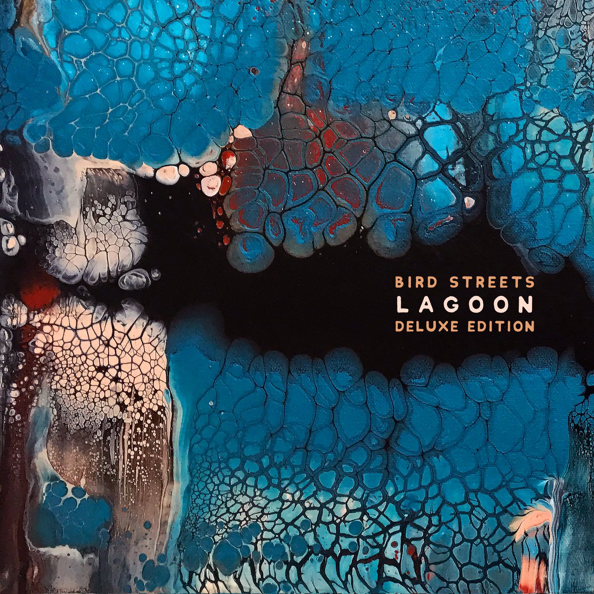 MrPhilBarton's tweet photo. Album of the year for me @BirdStreets incredible songwriting, fantastic production with real depth & sentiment. It made me feel genuinely excited and engaged with music in a way I haven't since I first heard Nevermind. A masterpiece ππ #birdstreets #lagoon #albumsyoumusthear https://t.co/Qqw2BMGooO
