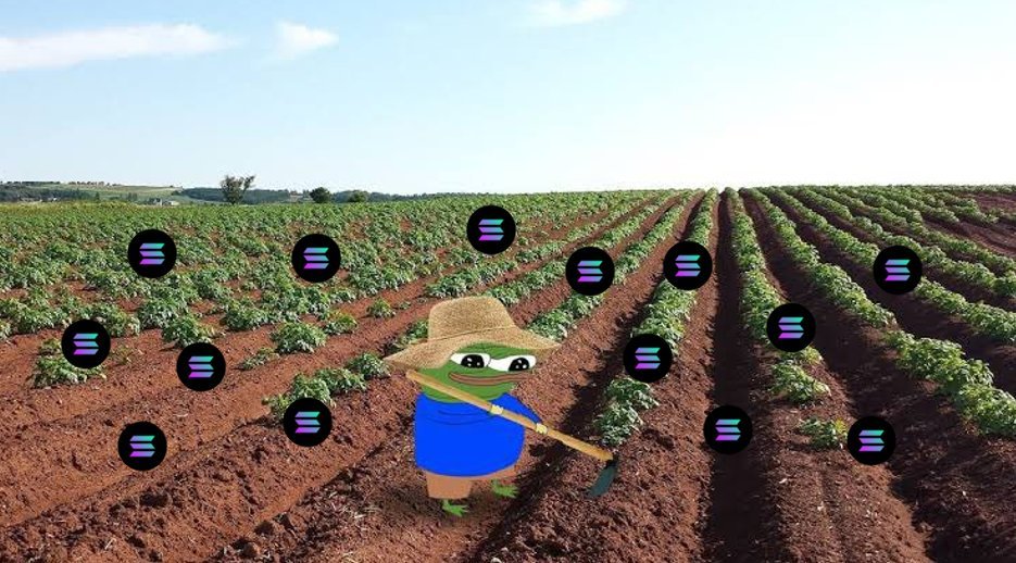 CC2 tweet media