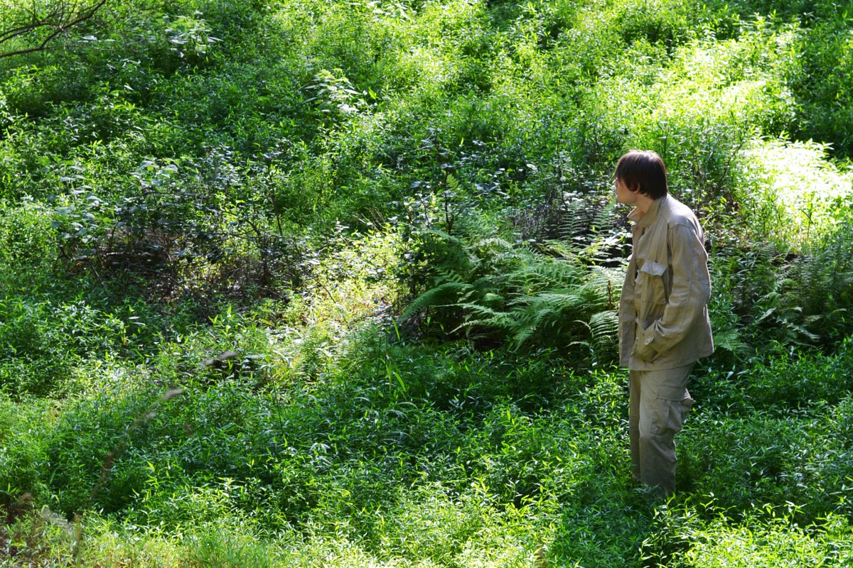 a jacen solo + tenel ka djo project tweet media