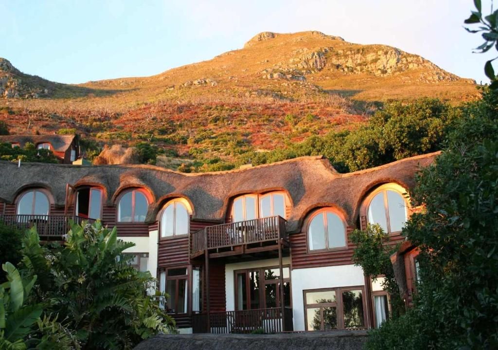 Escape to paradise at Monkey Valley Resort, nestled at the foot of Chapman's Peak with breathtaking views of Noordhoek Beach.

#NoordhoekBeach #ChapmansPeak #LuxuryGetaway #NatureRetreat #BreathtakingViews #MilkwoodForest #TravelGoals #AfricanAdventure #VisitAfrica #BNJLuxury