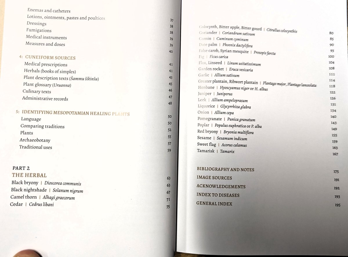 Economicbotany's tweet photo. So hot off the press it is still warm! An Ancient Mesopotamian Herbal by Barbara Boeck, Shahina Ghazanfar, and Mark Nesbitt. In bookshops very soon https://t.co/KbaAp1Ufcd #histmed #pharmhist https://t.co/ZPMTU8EfkT