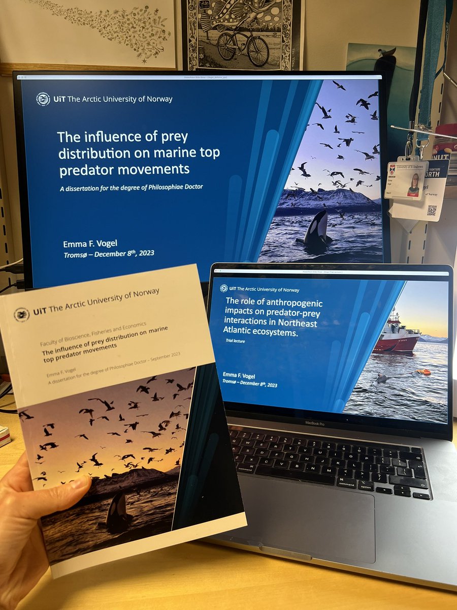 It’s really happening 😬
On Friday I have my trial lecture and PhD defense at <a href="/UiTNorgesarktis/">UiT Norges arktiske universitet</a>. If you’re interested in joining for any part, it will be both in person and streamed online. 🐋🦭🐟🍽️🛰️
uit.no/tavla/artikkel…