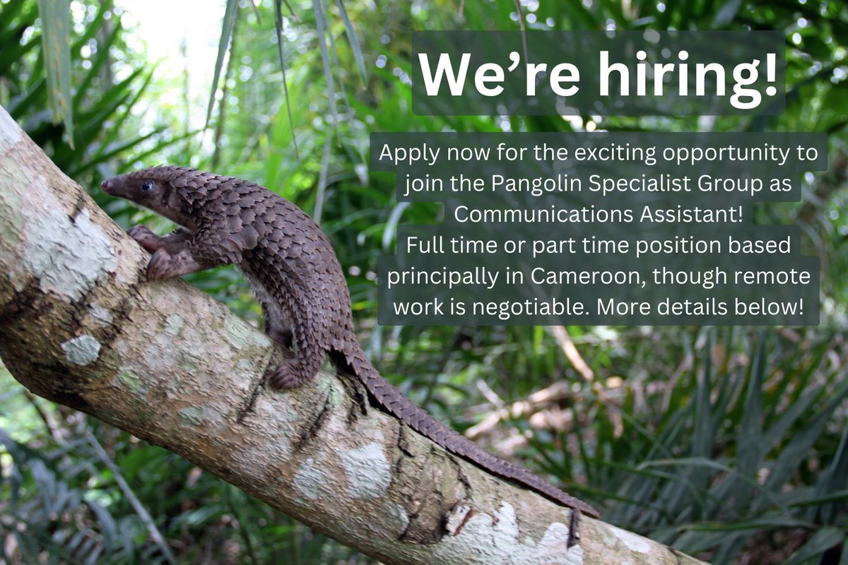 IUCN PangolinSG tweet media