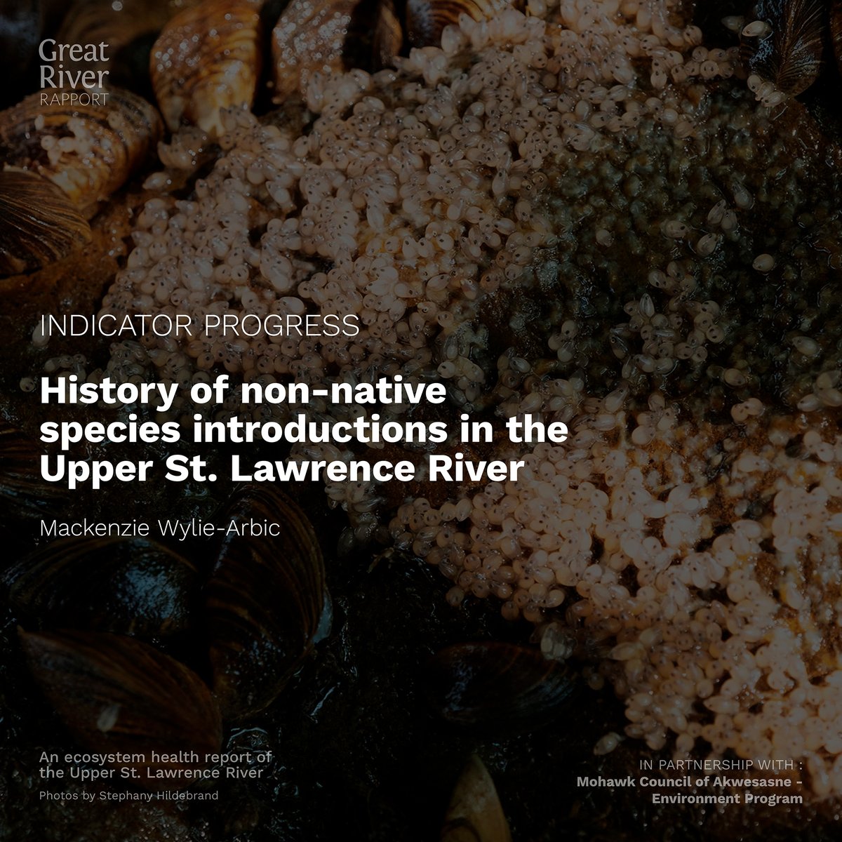 River Institute tweet media