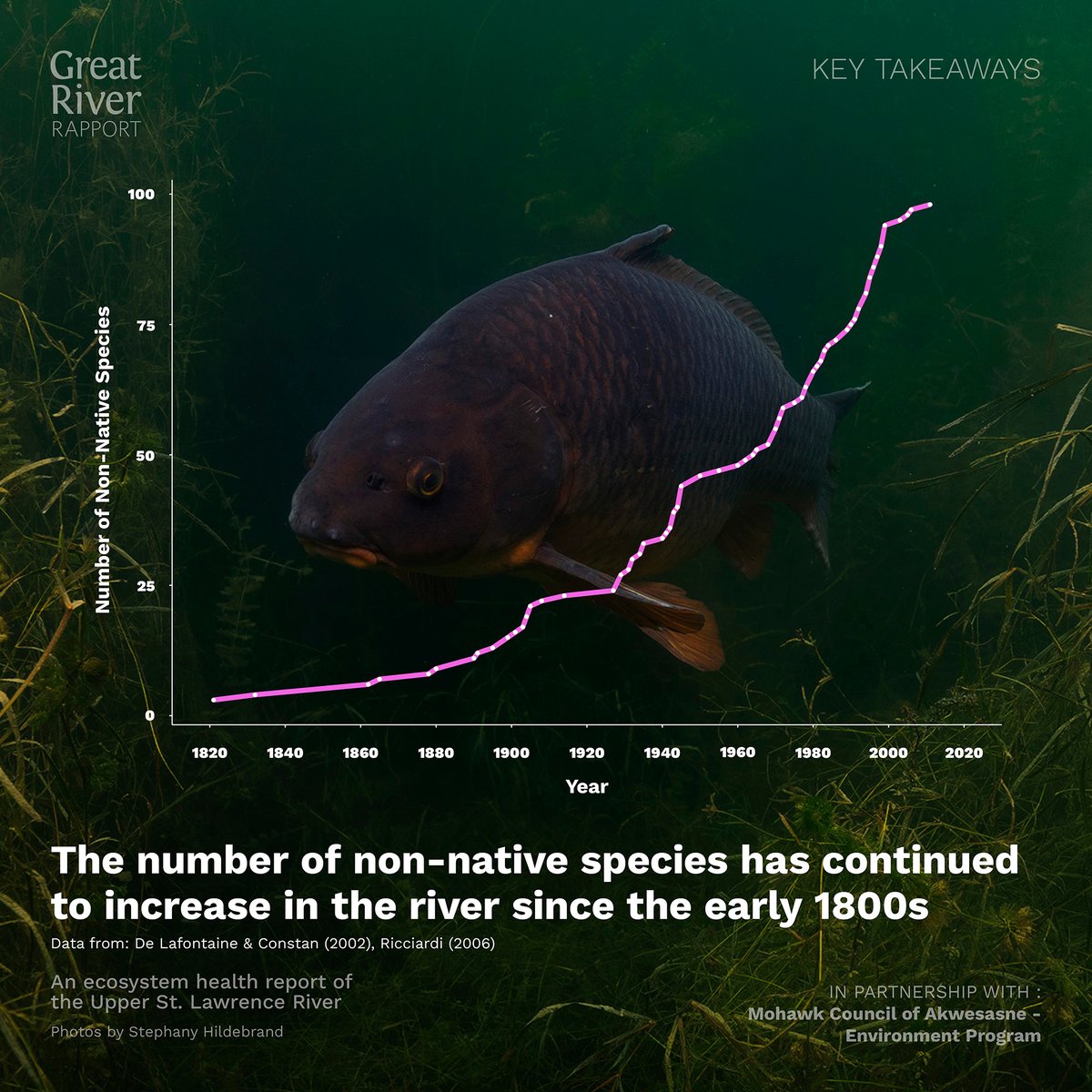 River Institute tweet media