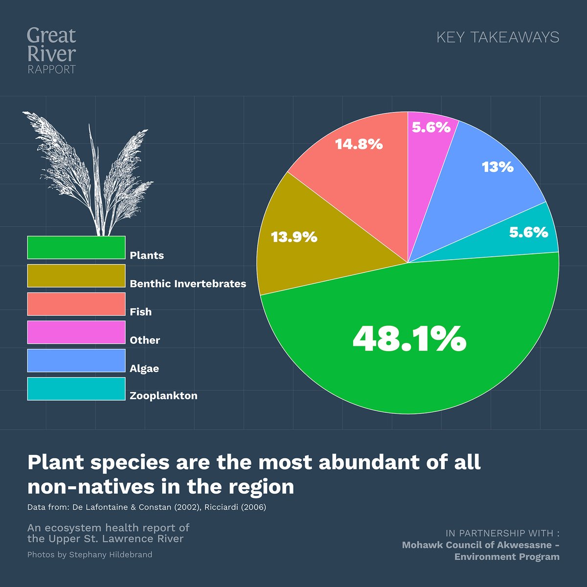 River Institute tweet media