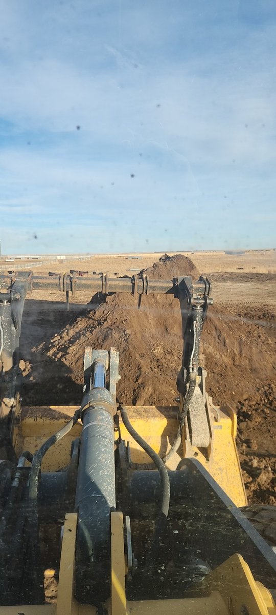 What this cow/calf guy feels like for keeping his calves and weaning them!! Iykyk