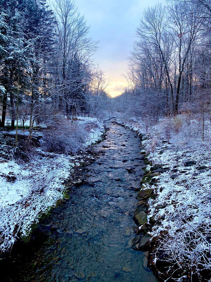 Taking a break from my other tweets to share a calming picture I took at @binghamtonu earlier today.