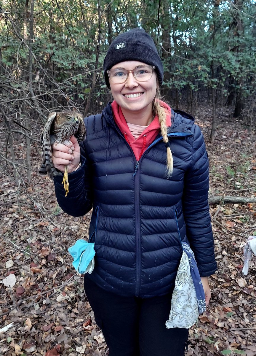 _brookeprater's tweet photo. Life update: my job is to hold birds!🐦

In August, I started my graduate position at @UNTsocial studying wintering American Kestrels with Dr. James Bednarz. 

I can't believe my first semester is almost over, but that just means it's field season time❄️🦅 https://t.co/YZSxtaib1u
