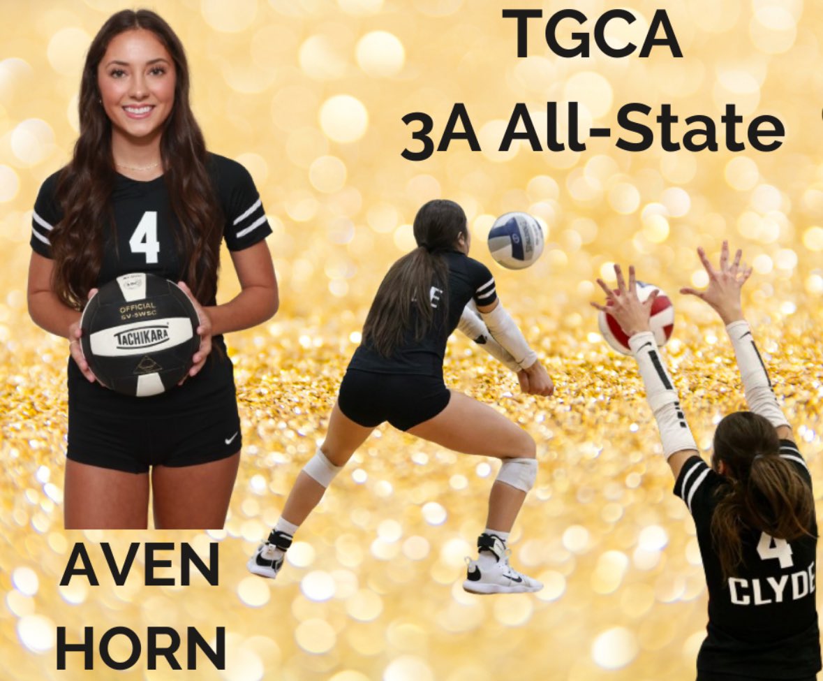 Congratulations Aven for being selected to the TGCA 3A All-State volleyball team!!!!! Proud of you!