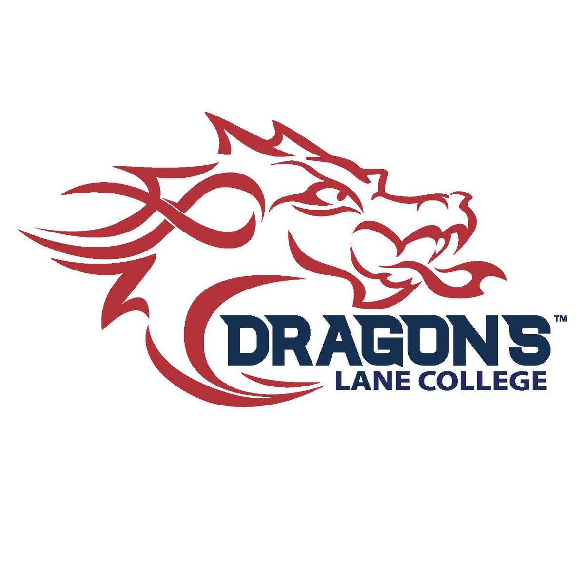 JakellAllen's tweet image. #AGTG Blessed to receive an offer from Lane College! @ShunBrown06 @JUCOFFrenzy @CoachBook5x