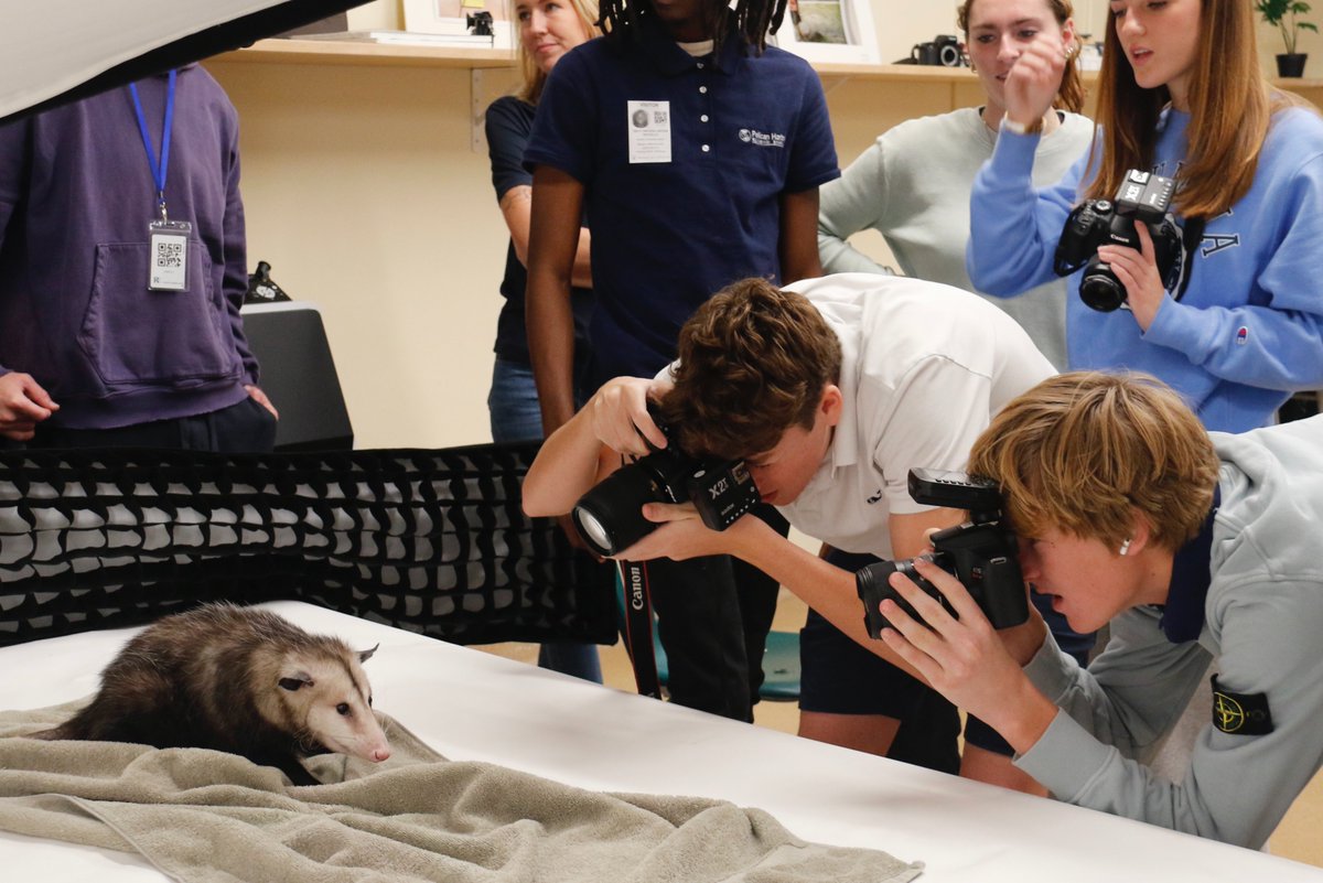 RansomEverglade's tweet photo. RE students had the amazing opportunity to photograph a tortoise, an opossum and a screech owl – three ambassador animals brought to Ransom Everglades by the Pelican Harbor Seabird Station – in Matt Stock's photography class today. #REproud #theREway https://t.co/822b9YABUN