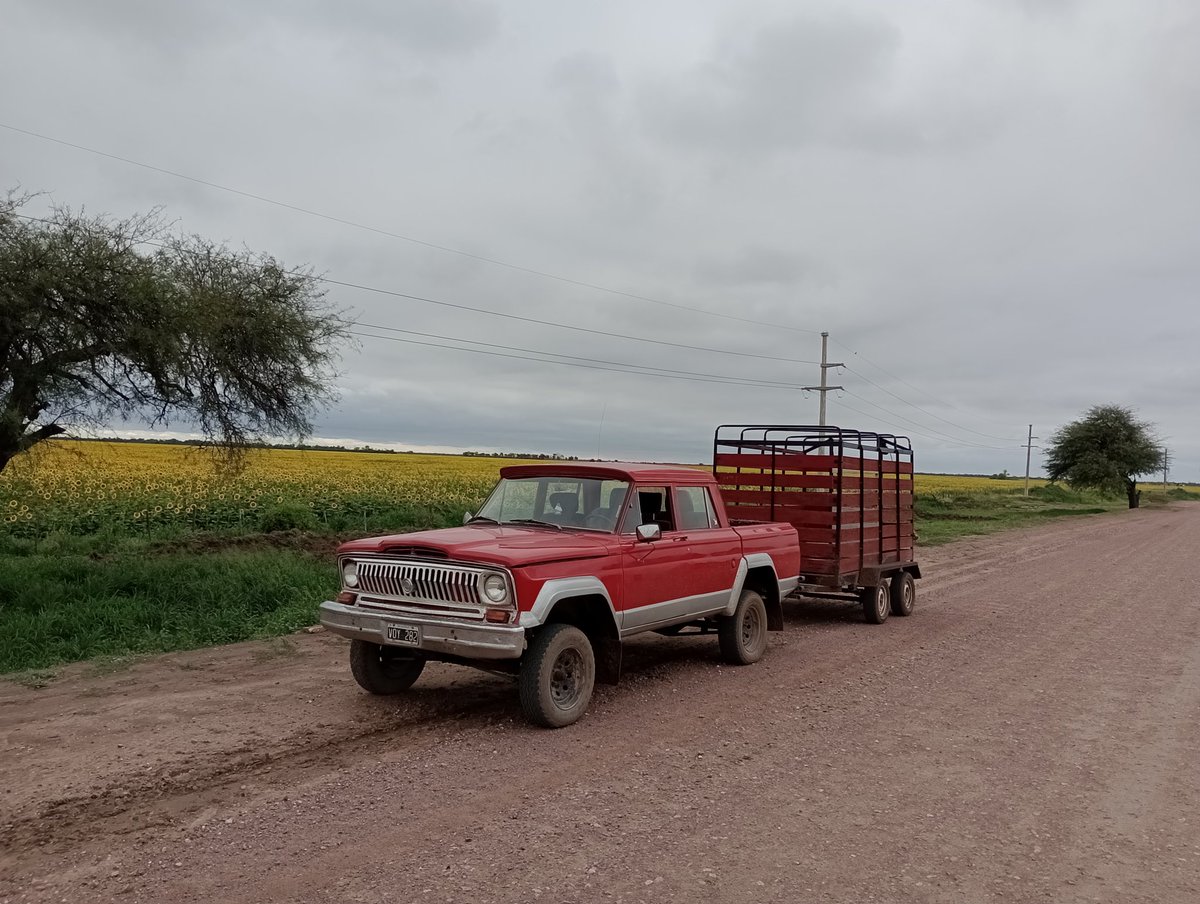 OvidioR9's tweet photo. Solo se necesitan ganas... Y una Jeep. https://t.co/rwaN2jhqAY