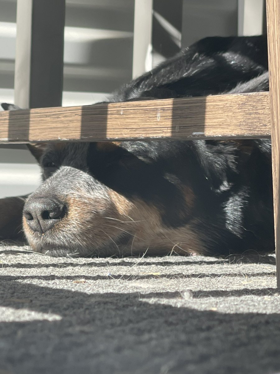 🔅Kai⏳ tweet media