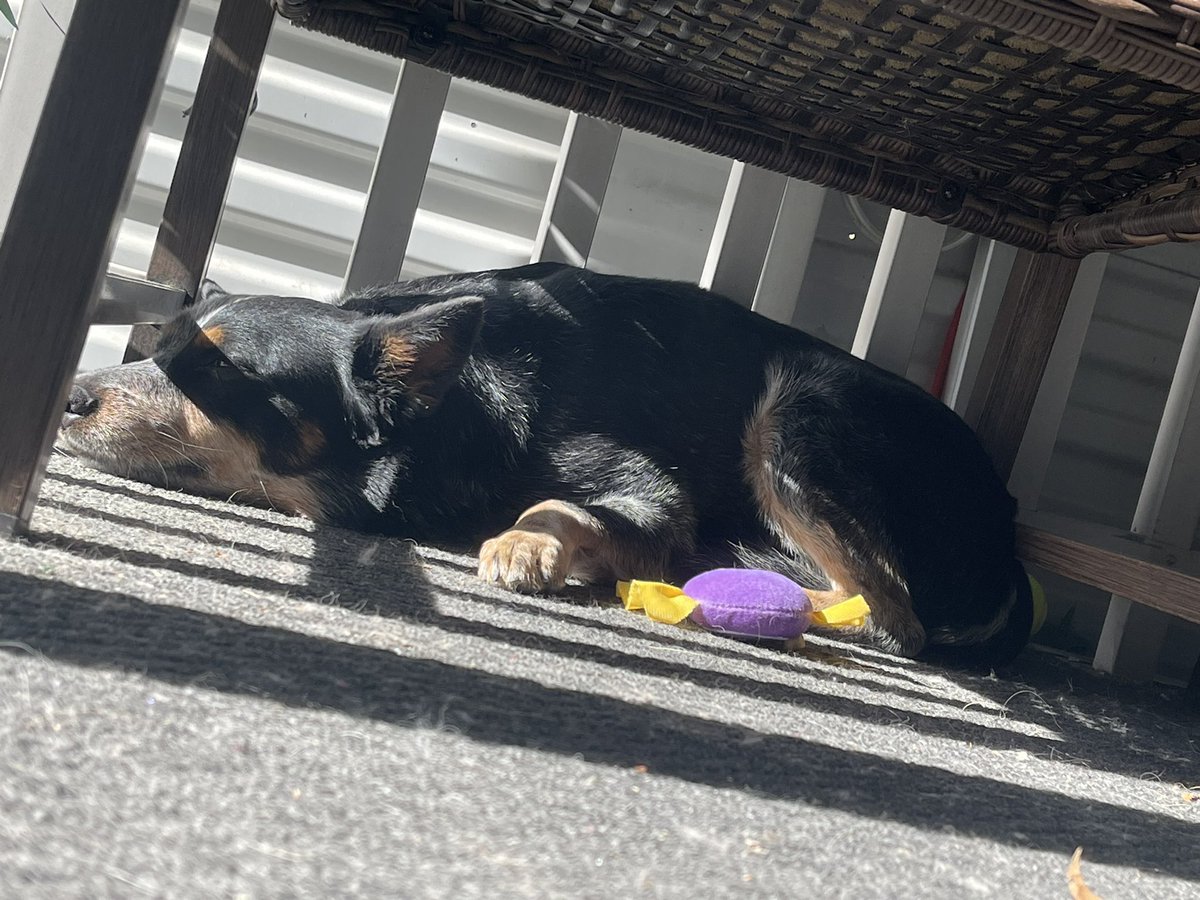 🔅Kai⏳ tweet media