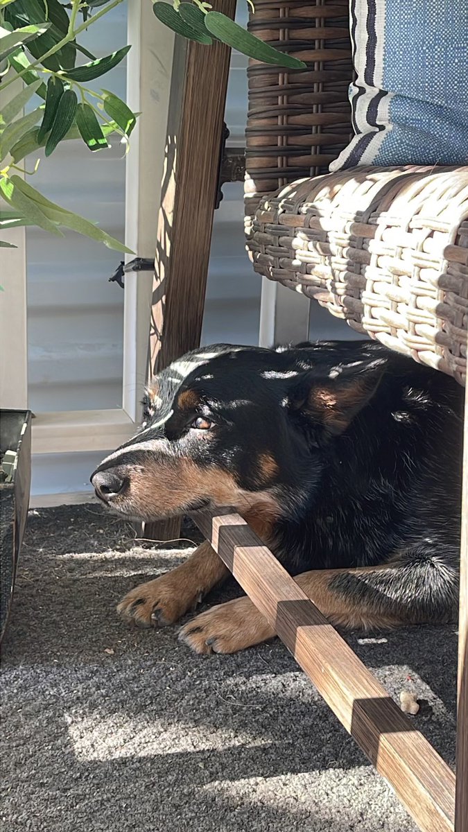 🔅Kai⏳ tweet media