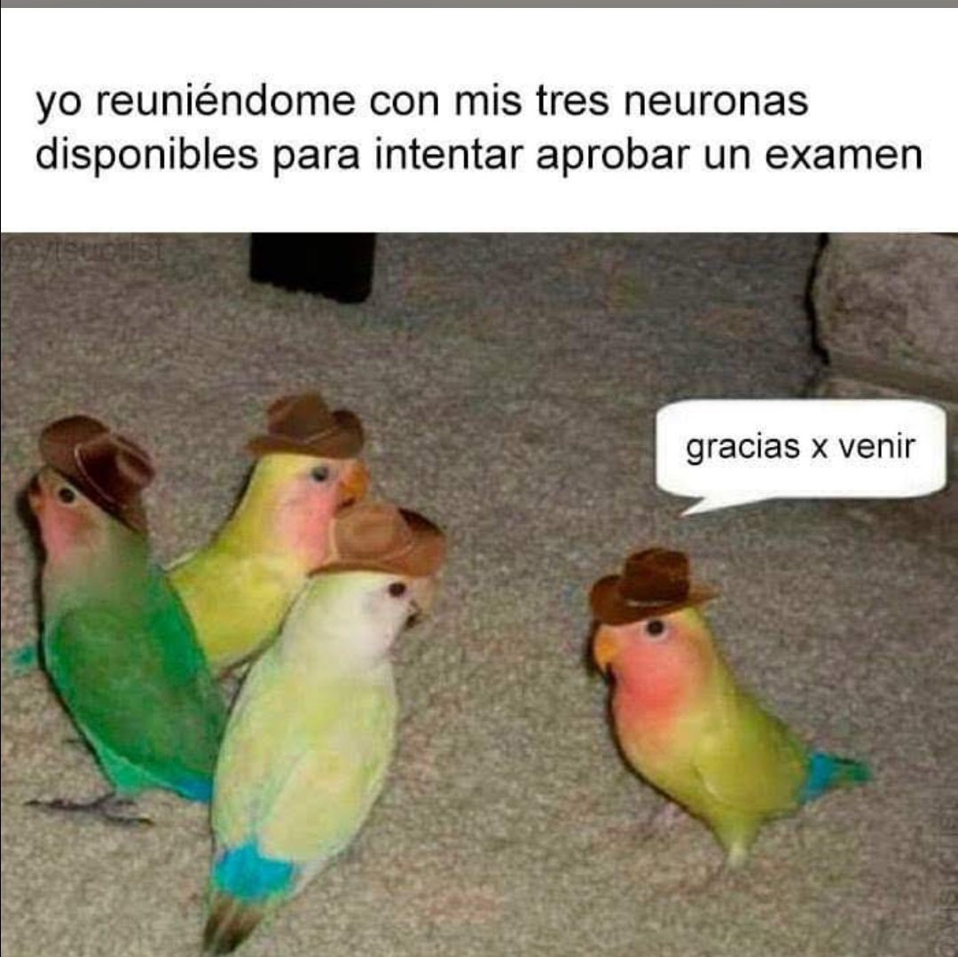 Ahmose02's tweet photo. Recién me acordé que tenía cuenta acá https://t.co/GSMZeTqdaM