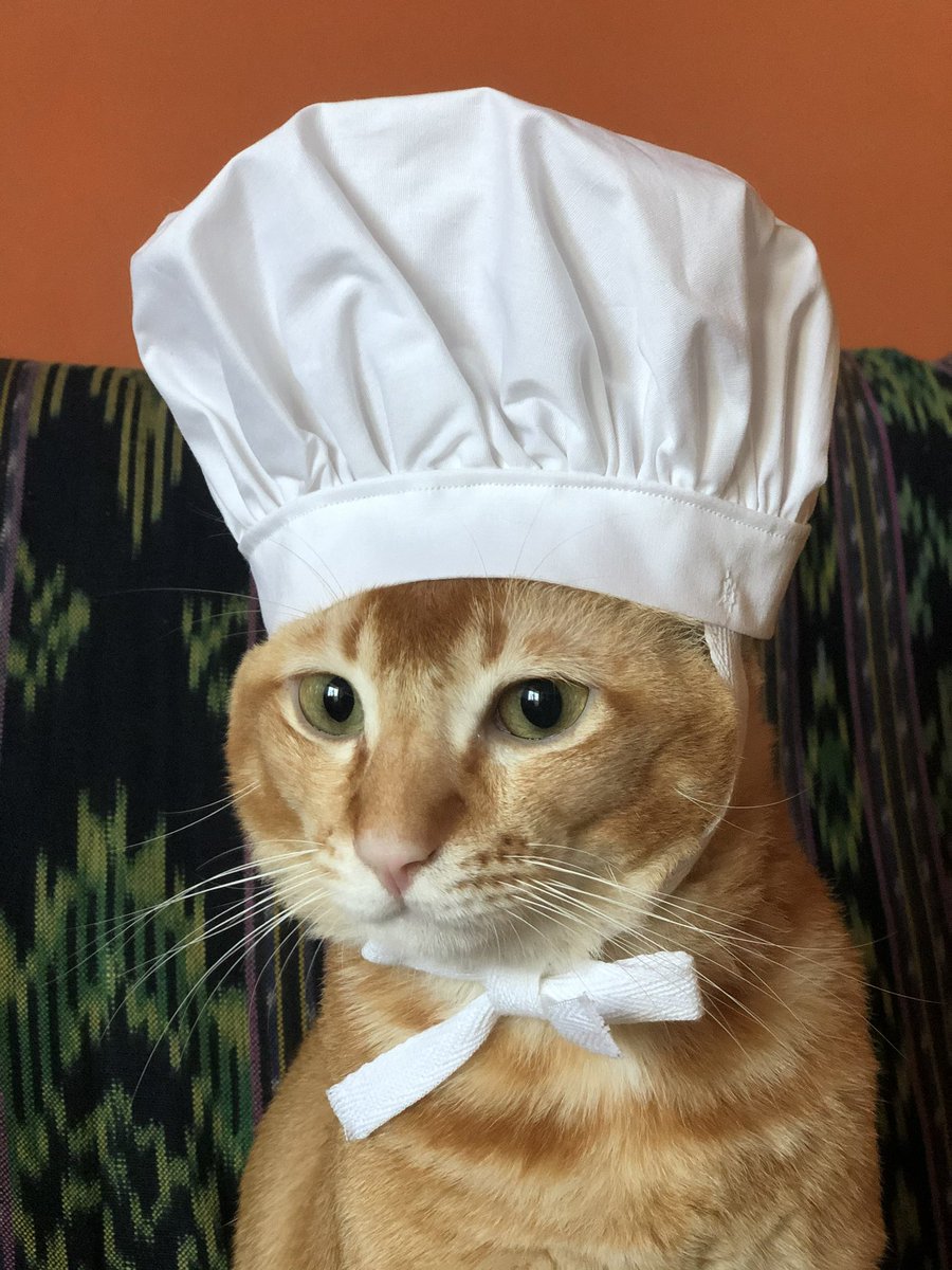 TelepathiKittyW's tweet photo. @ColeTheBlackCat 😹😹😹yes we help!! but we are #dressedtoimpurress when doing so, of course!! 💕❤️ https://t.co/Rh20DPxa56