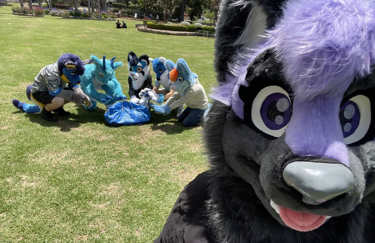 I wonder what they’re plotting?

🩵💙<a href="/CharlieDeer1/">Charlie Deer</a> <a href="/ItsFlippsy/">Flippsy</a> <a href="/WolfWintry/">Wintry ❄️</a> <a href="/Diesel_R00/">Diesel🇦🇺🇳🇿⇋</a> @ArkyFloof 💙🩵