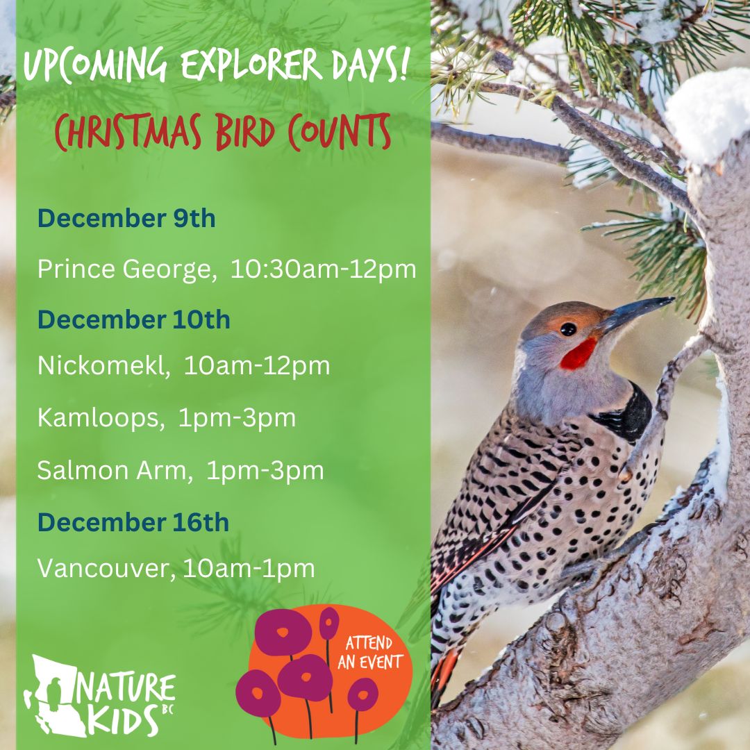 NatureKids BC tweet media