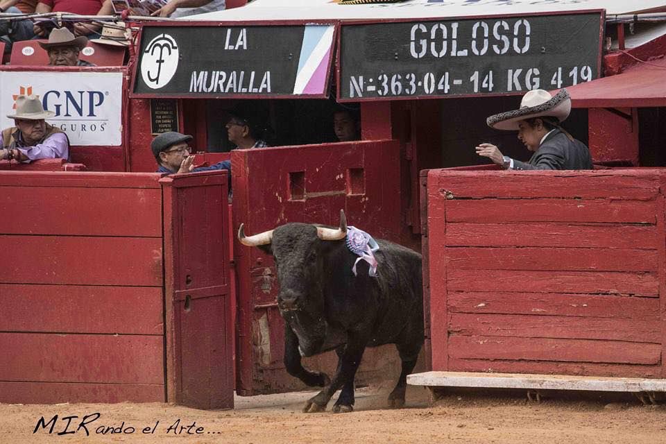 ¡VIVA MÉXICO! ¡VIVA LA TAUROMAQUIA! ¡VIVAN LAS LIBERTADES!