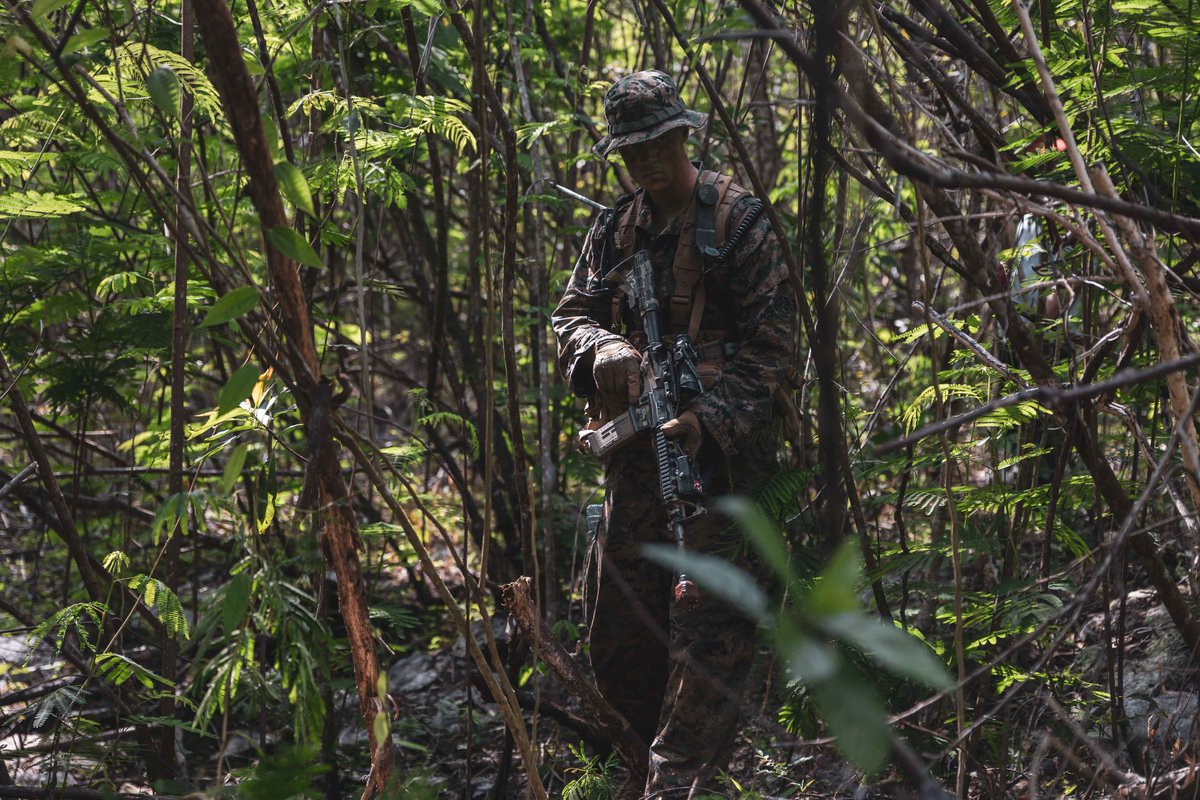🇺🇸–🇮🇩 @PacificMarines with @1stMEF conduct jungle patrol training with @marinir_tni_al during #KerisMAREX23, strengthening interoperability and combined capabilities in support of a #FreeAndOpenIndoPacific. 📍: #Indonesia 📸: Cpl Dean Gurule