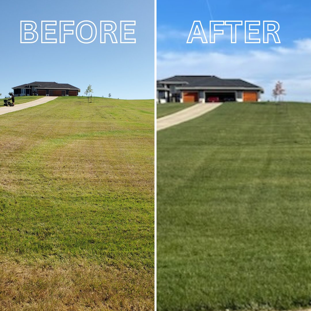 Wow, this transformation is absolutely stunning! 😍🌿💯 If you're dreaming of a beautiful yard like this, reach out to Lawnscape Specialists today! (816) 284-8097 #loveyourlawn #lawncare #healthylawn #kchomes #olathe #parkvillemo #beforeandafter
