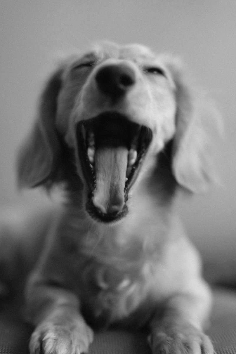 Calin1's tweet image. 