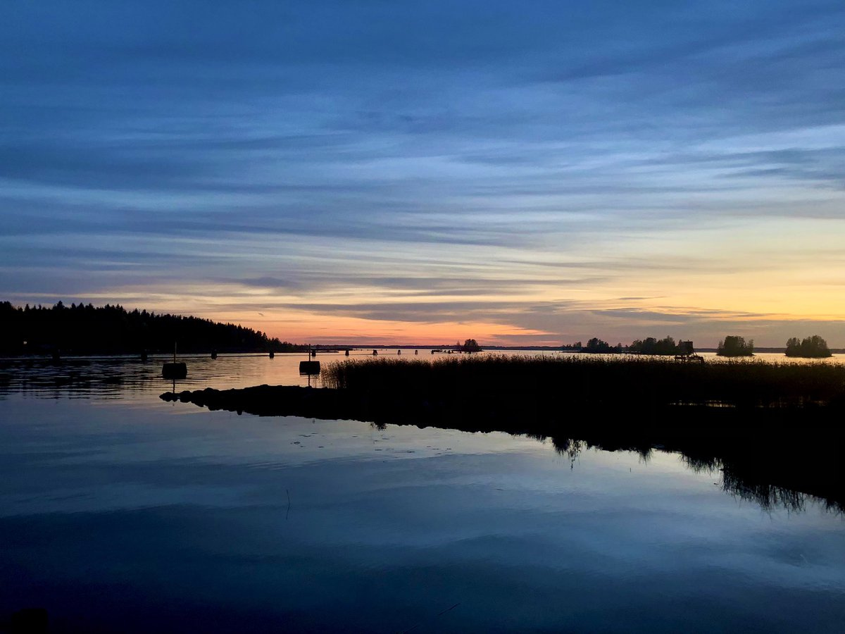 Clïnt Martïn tweet media