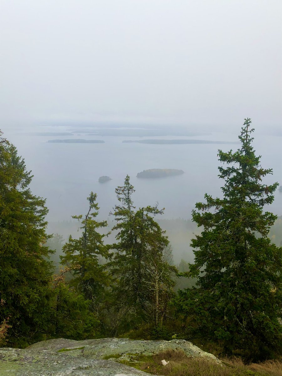 Clïnt Martïn tweet media