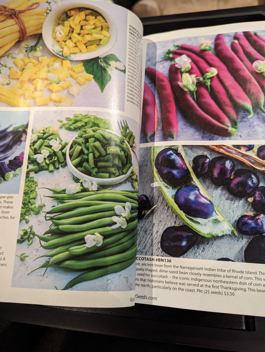 My most recent “book” purchase. Summer here I come!

#GardeningTwitter #gardener #seedcatalogue #summerdreaming