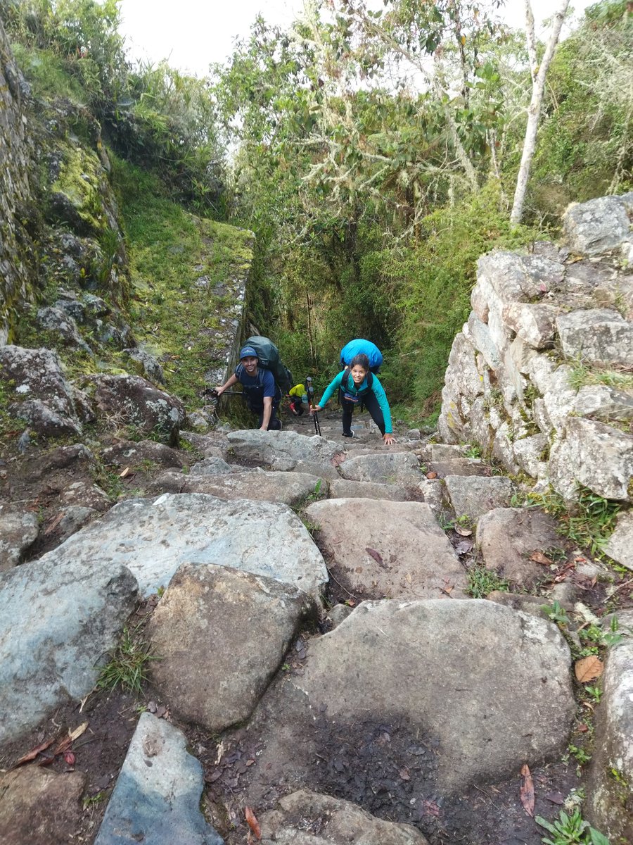 Monkey steps near Machu Picchu 🇵🇪