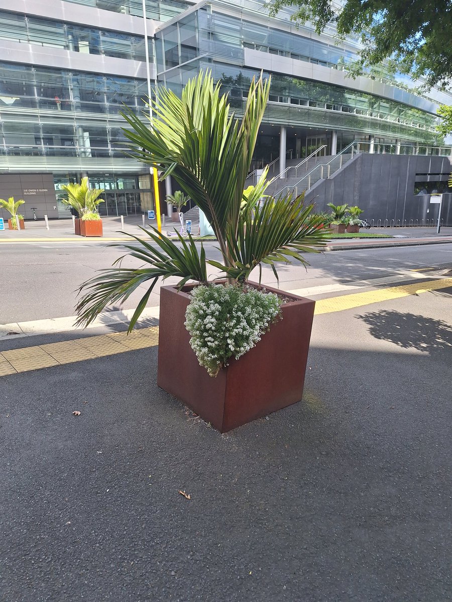 Jonny_Lynch's tweet photo. Michelle and Jonny 3 pictures - first encounter, above and below#walkingpesa2023 https://t.co/BKRxj8DQSR