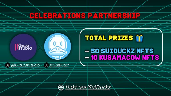 SuiDuckz 🐣🦆🌊 tweet media