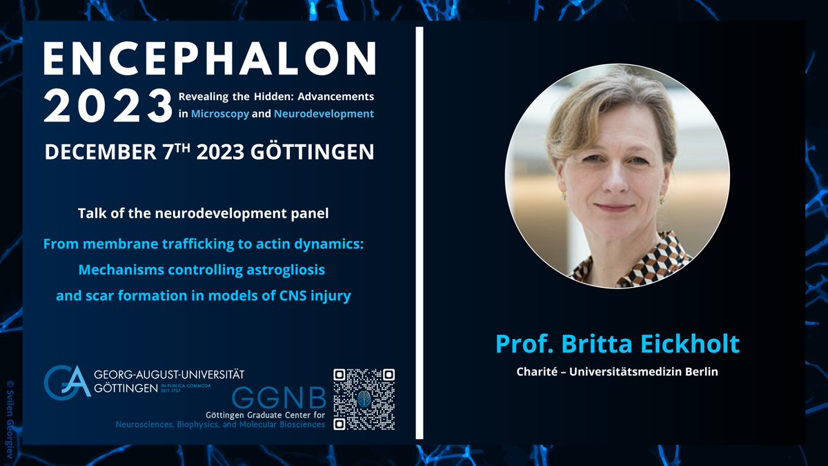 Following our Keynote lecture, we present Prof. Britta Eickholt from @ChariteBerlin with 'From membrane trafficking to actin dynamics: mechanisms controlling astrogliosis and scar formation in models of CNS injury' @EickholtL #encephalon2023