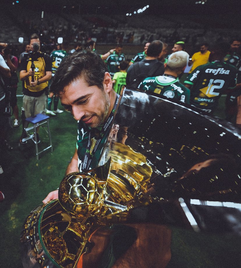 2x Brasileiro
2x Libertadores
2x Paulista
1x Copa do Brasil
1x Supercopa do Brasil
1x Recopa Sul-Americana

simplesmente Abel Ferreira 🇵🇹