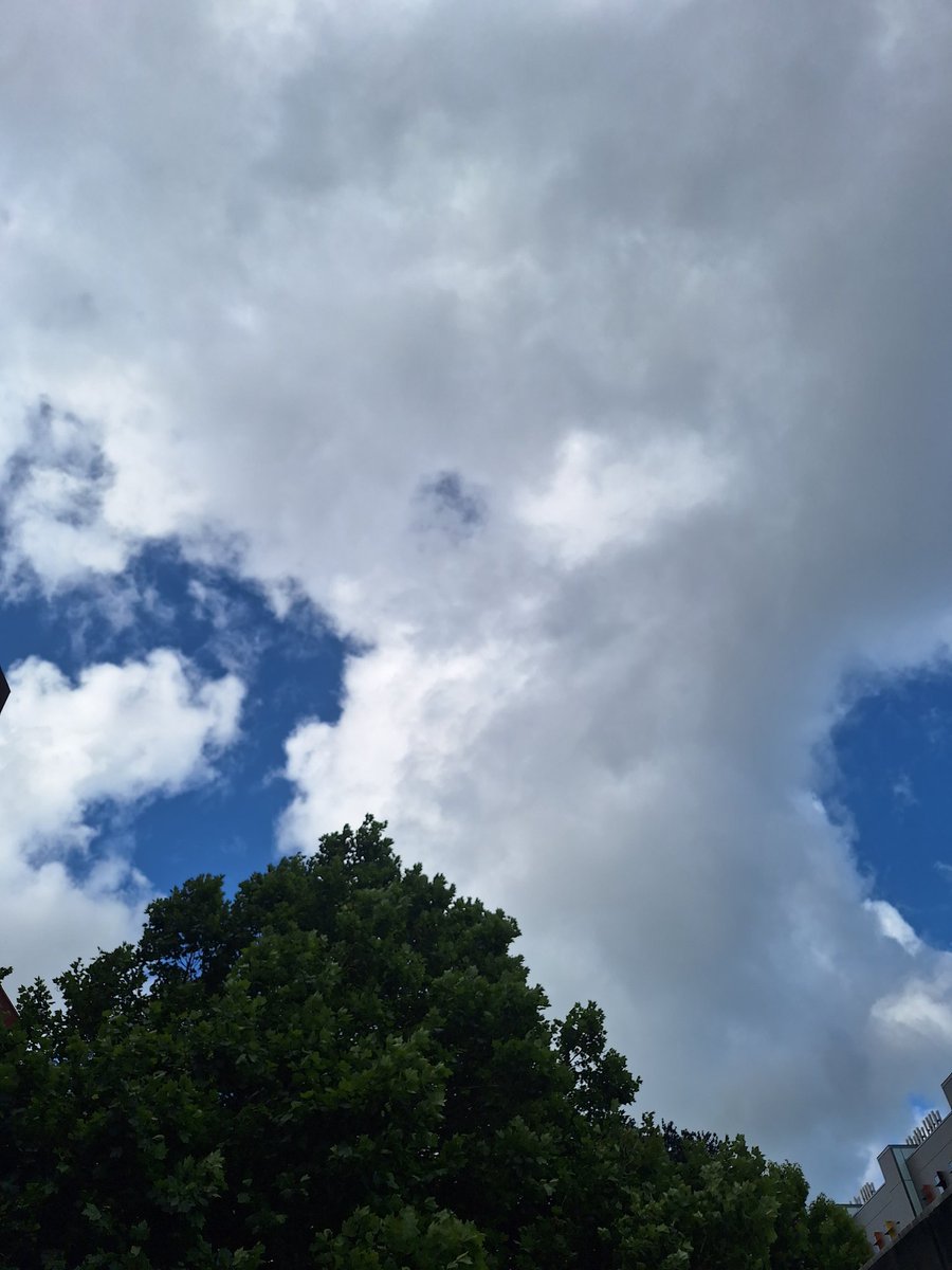Jonny_Lynch's tweet photo. Looking up#walkingpesa2023 https://t.co/P9WKCo9uUI