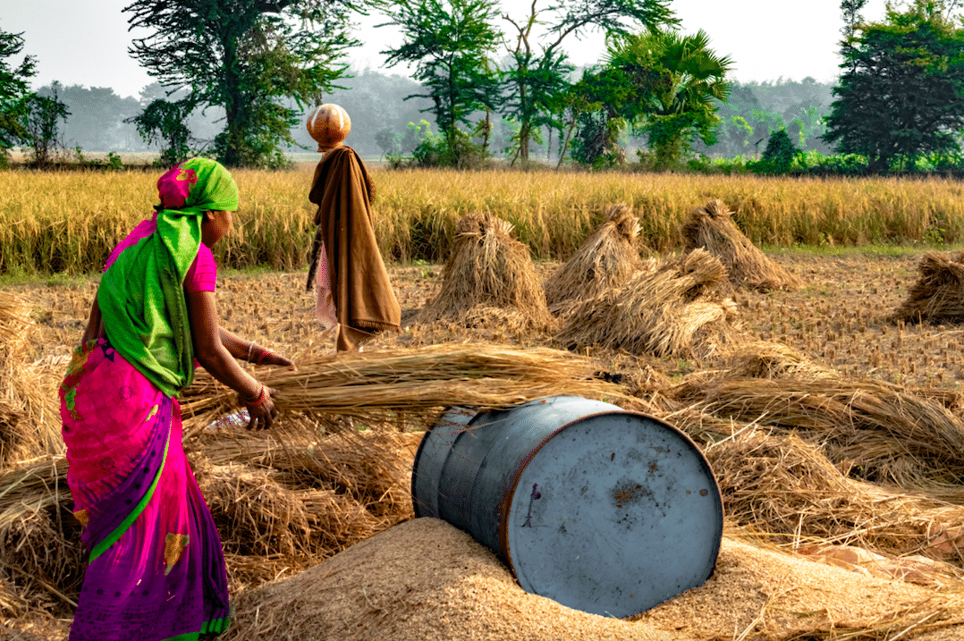 #COP28 is putting food systems in the spotlight! Join us in amplifying diverse voices, from Algeria to the Philippines, advocating for resilient, sustainable, & equitable solutions to climate change. Read our Program Coordinator, Vivian Maduekeh, blog: ​​futureoffood.org/insights/meet-…