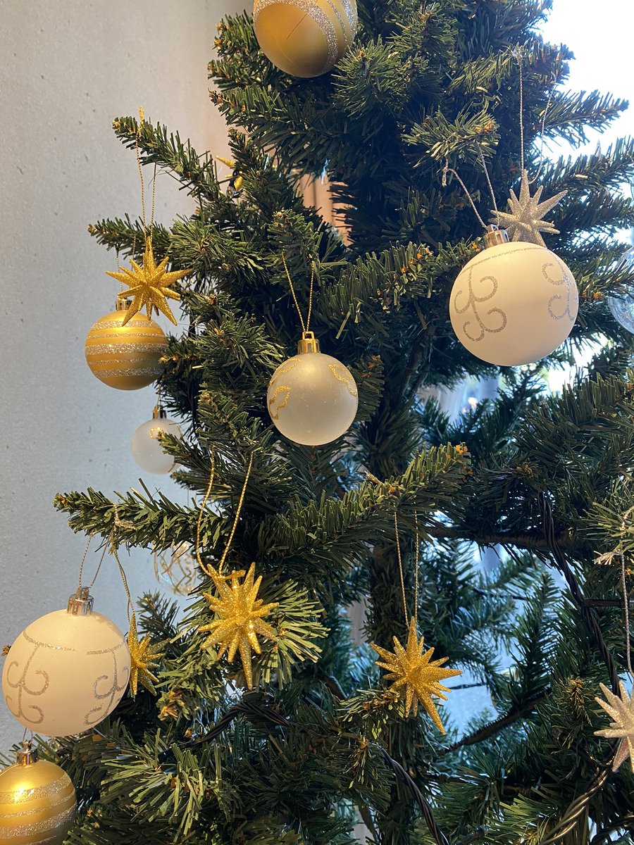 6oo_official's tweet photo. 今日は「クリスマスツリーの日」
横浜の明治屋さんが1886年に初めてツリーを飾ったことが由来だそう。
6ooの店頭にもツリーを飾りました。
夜になると通りから見える店内の装飾が一層引き立ちます✨
ぜひ、観に来てください🌲
#神田橋
#6oo
#sixhundred
#クリスマスツリーの日
#神田ギフト
#chocolate https://t.co/wBW3bplLMI